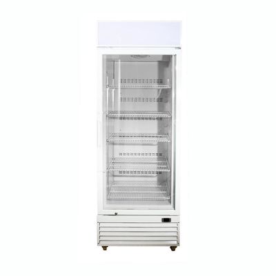 360L Upright Display Freezer